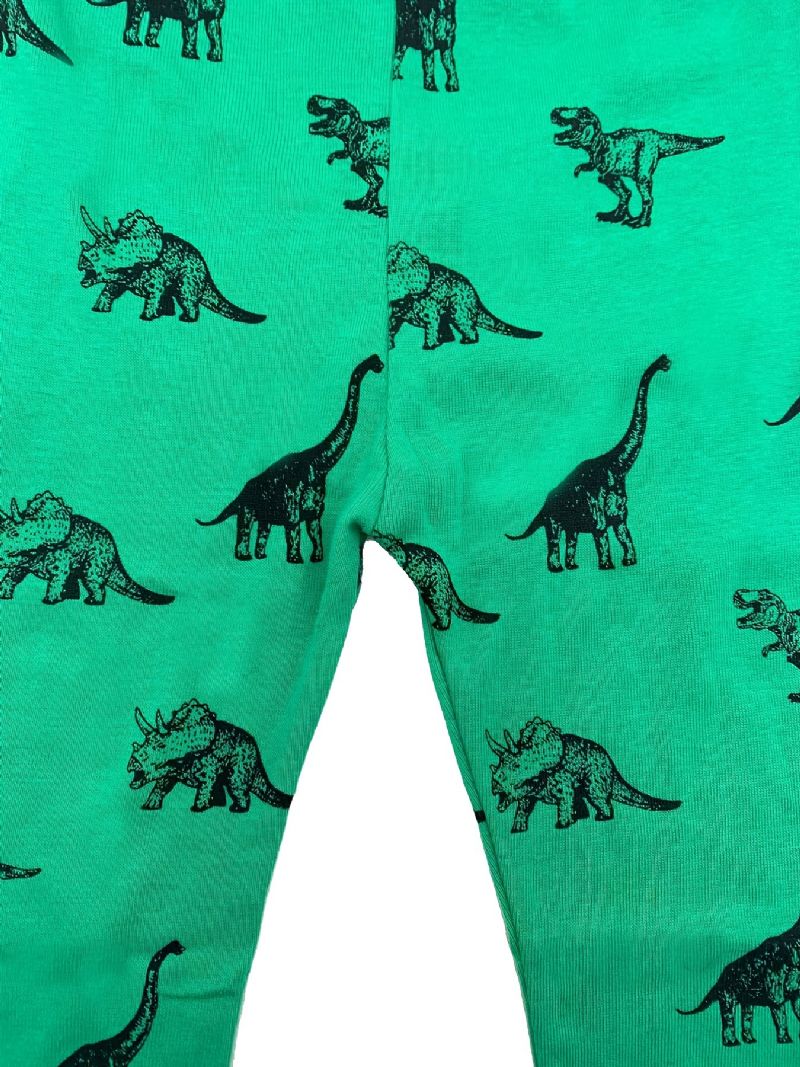 Poikien Lounge Wear Homewear Pitkähihainen Toppi Ja Yhteensopivat Housut Joissa On Sarjakuva-dinosauruskuvioinen Pyjamasetti