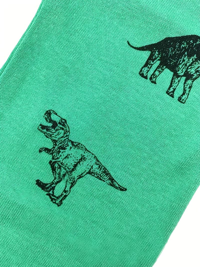 Poikien Lounge Wear Homewear Pitkähihainen Toppi Ja Yhteensopivat Housut Joissa On Sarjakuva-dinosauruskuvioinen Pyjamasetti