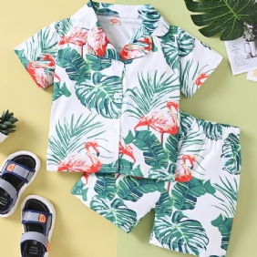 Poikien Casual Flamingo Print Shortsisetti