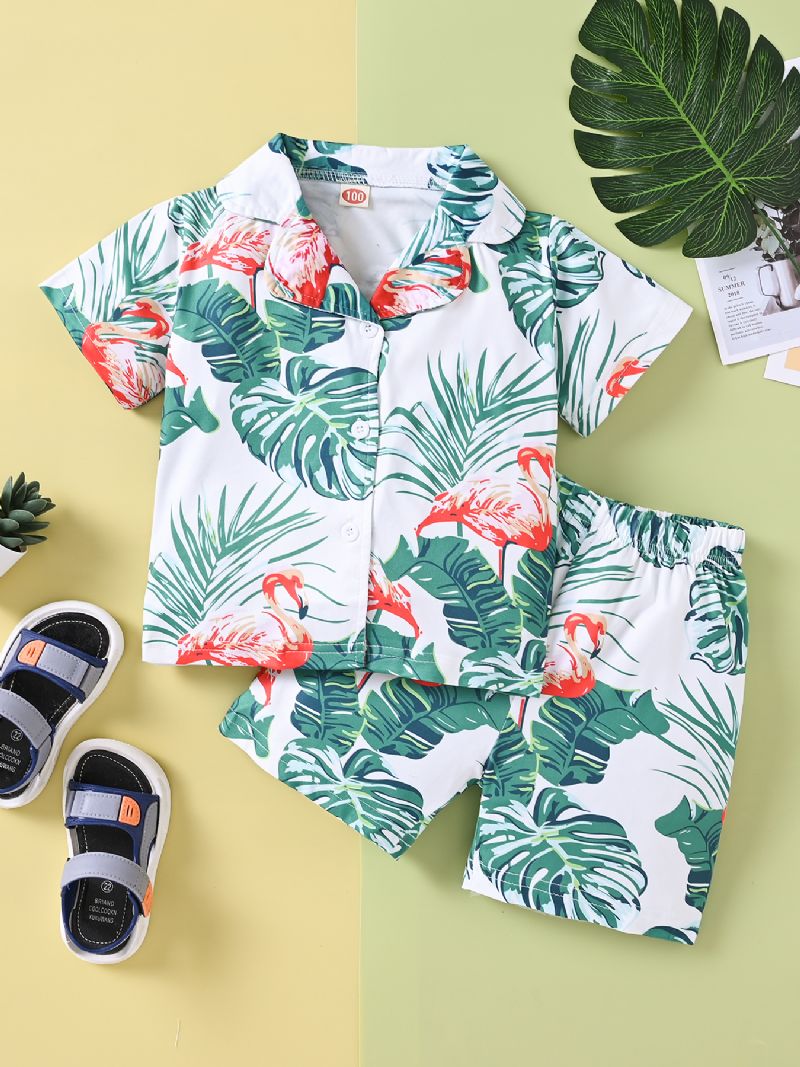 Poikien Casual Flamingo Print Shortsisetti