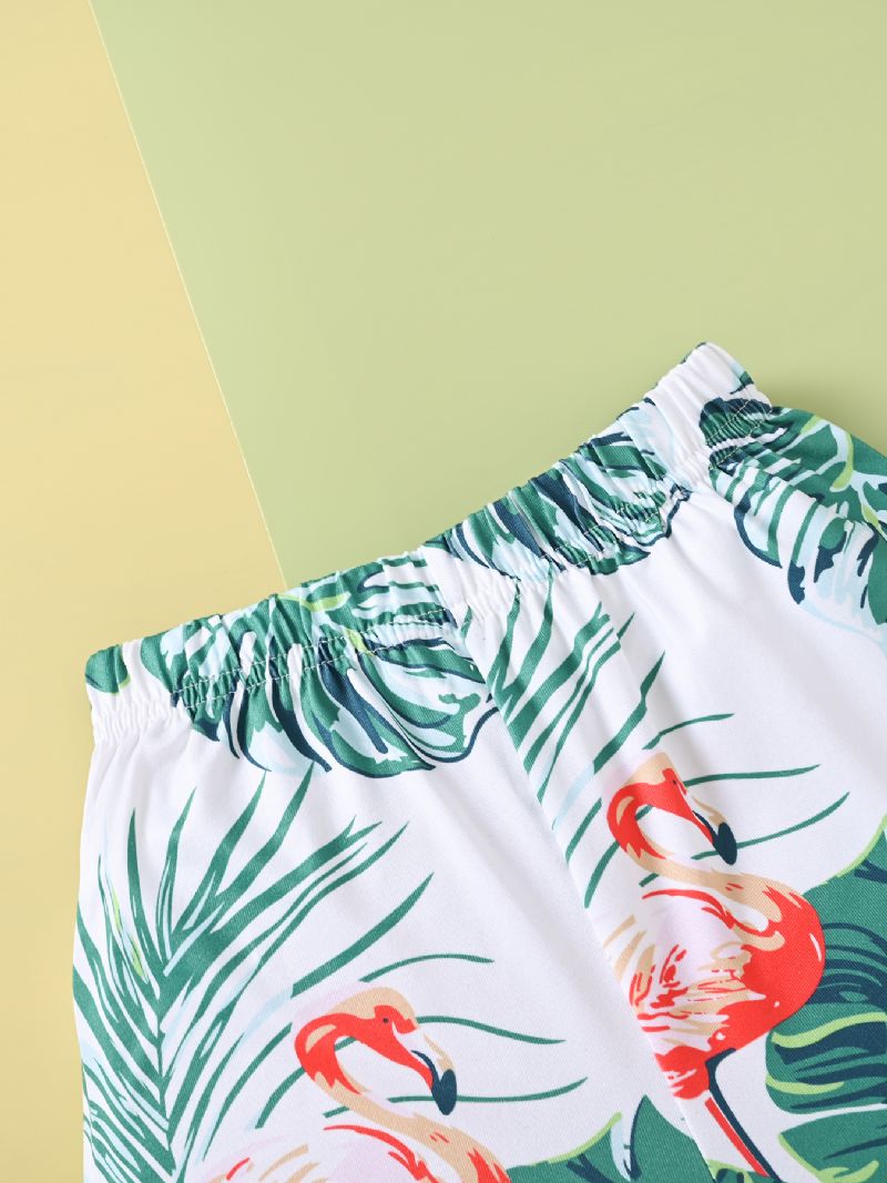 Poikien Casual Flamingo Print Shortsisetti